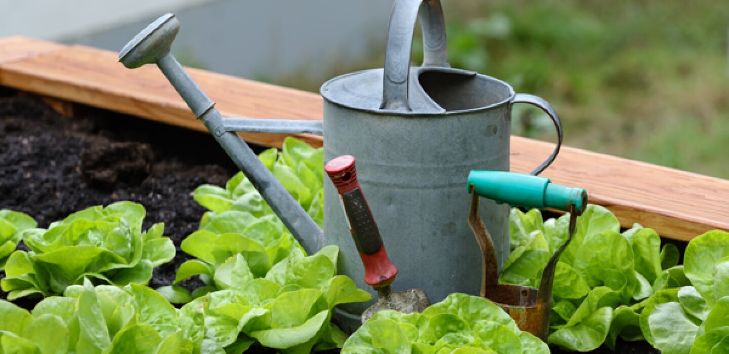los-beneficios-de-la-jardineria:-bienestar-mental,-ejercicio-y,-en-algunos-casos,-socializacion