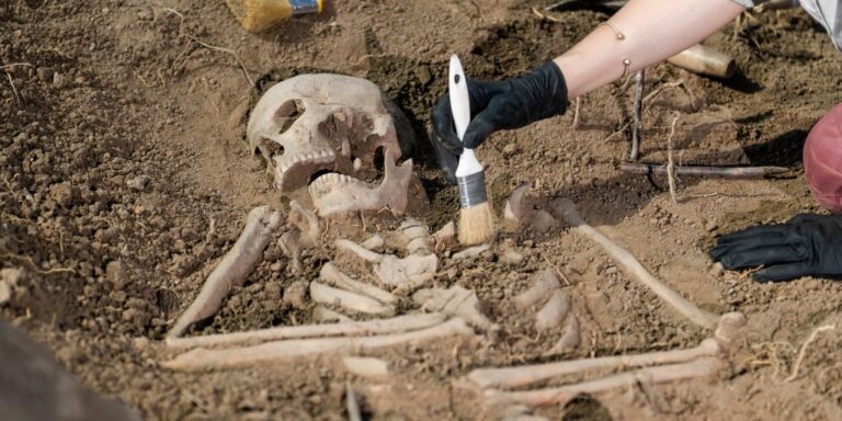 Identifican extraño ritual de muerte que practicaban agricultores hace 2 mil años