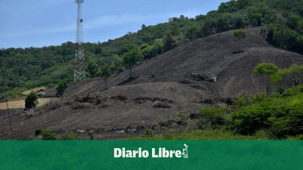 Medio Ambiente se querella contra una persona por daños ambientales en bosque de Montecristi