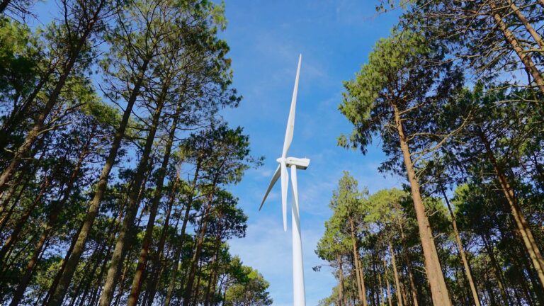 Iberdrola obtiene la autorización ambiental para la gran eólica de Portugal