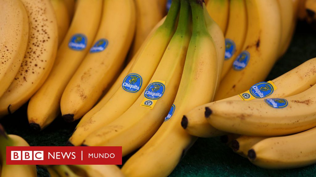 La oscura influencia en América Latina de la bananera de EE.UU. United Fruit Company y su heredera Chiquita Brands – BBC News Mundo
