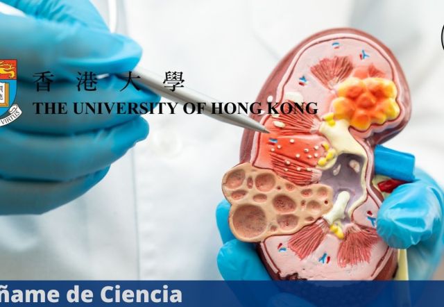 Universidad de Hong Kong lanzó curso virtual de ESPECIALIDADES MÉDICAS, ¡100% GRATUITO!