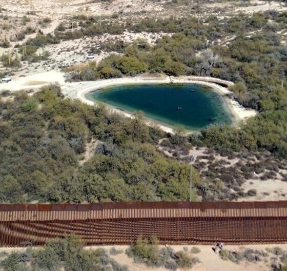 naturaleza-interrumpida:-el-impacto-del-muro-fronterizo-entre-eeuu.-y-mexico-en-la-fauna-salvaje-|-el-universal