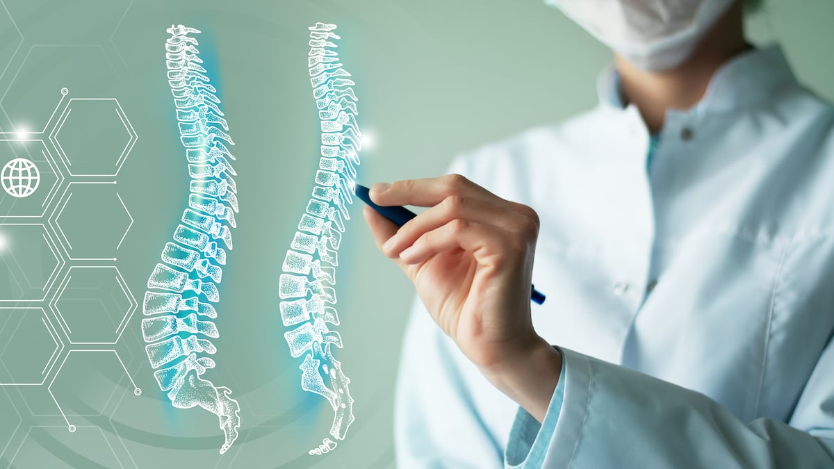 Avance sin precedentes sobre la  médula espinal