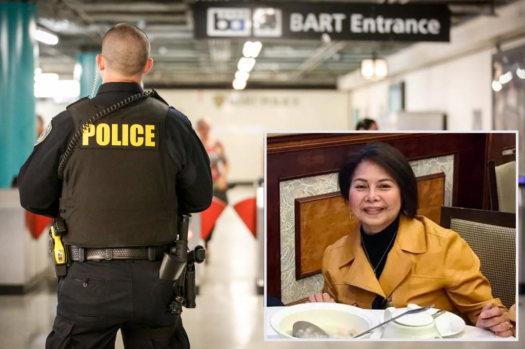 Beloved aunt, 74, dead after homeless man pushed her into  BART train in San Francisco: police