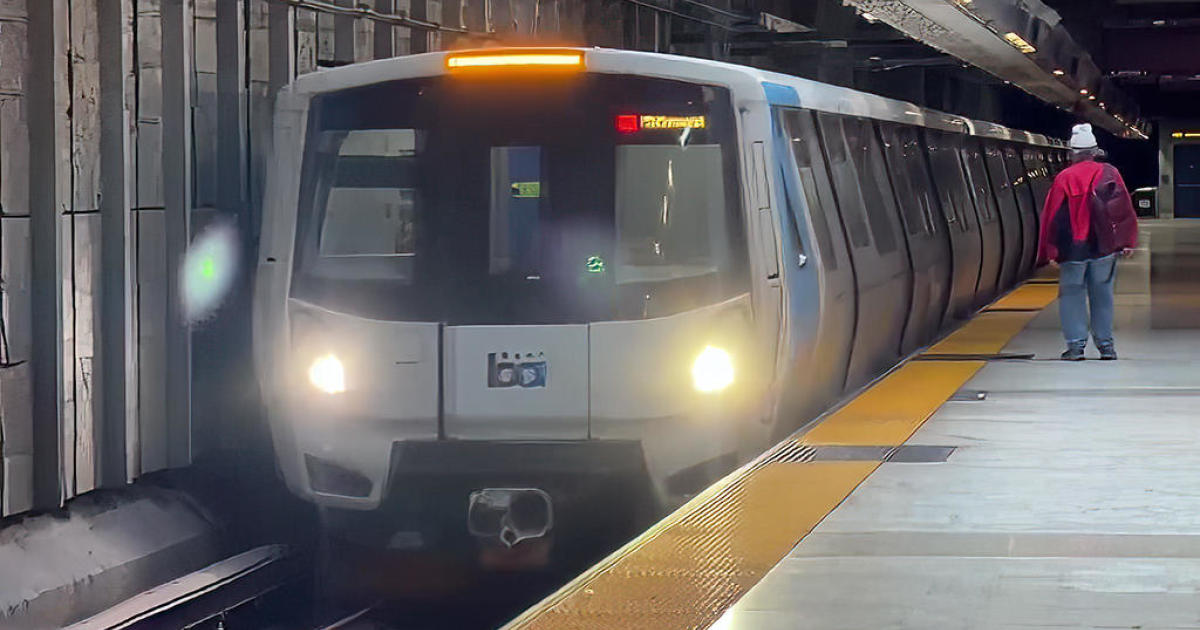 elderly-woman-dies-after-being-pushed-into-bart-train-in-san-francisco;-suspect-arrested
