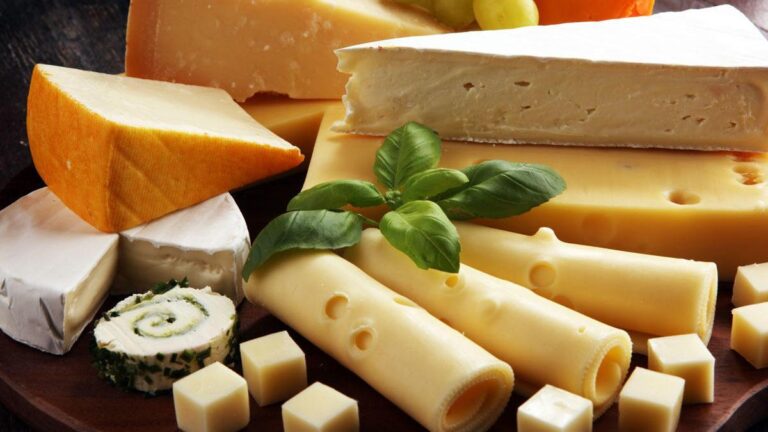 estos-son-los-quesos-que-menos-engordan-mas-recomendados-por-los-expertos
