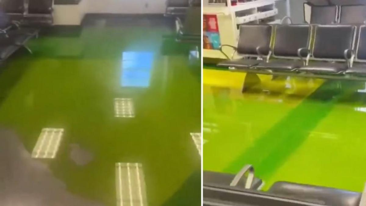 Video: alerta en aeropuerto de Miami por filtración de misterioso líquido fosforescente en plena sala de abordaje