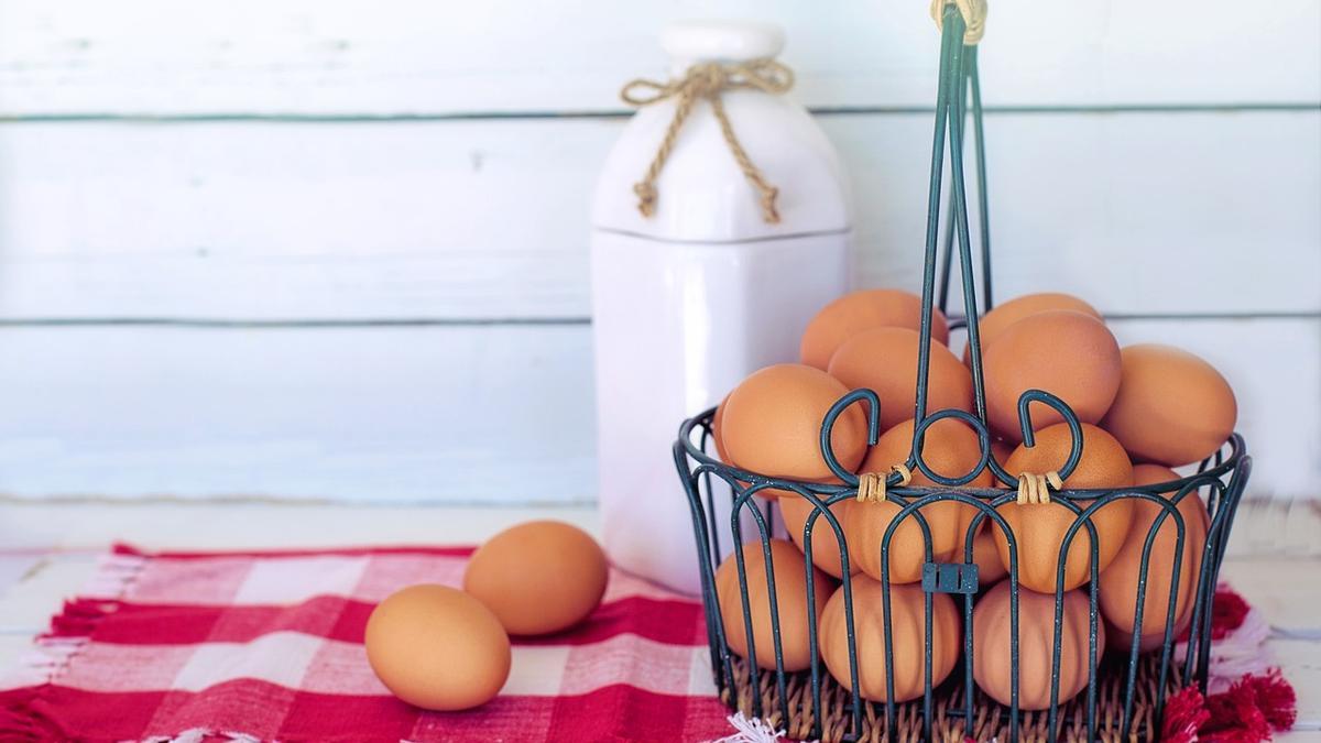 la-oms-lo-confirma:-estos-son-los-huevos-que-puedes-comer-a-la-semana-para-estar-sano
