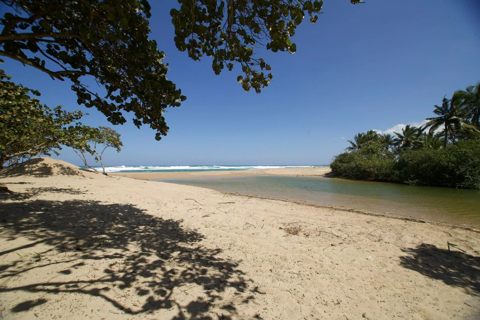 Medio Ambiente aprueba licencia ambiental para Punta Bergantín y autoriza construir 9 hoteles – 7dias.com.do