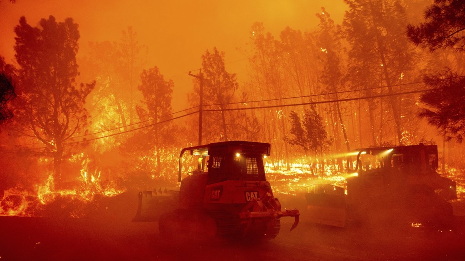 Park Fire en norte de California se convierte en el incendio forestal más grande de California