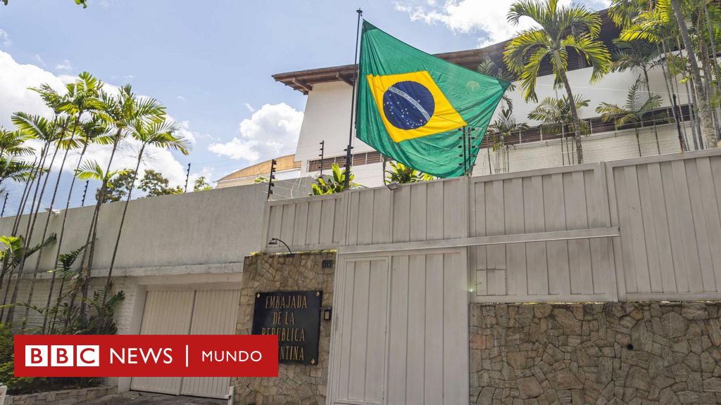 Elecciones en Venezuela: Por qué la bandera de Brasil ondea en la embajada de Argentina en Caracas – BBC News Mundo