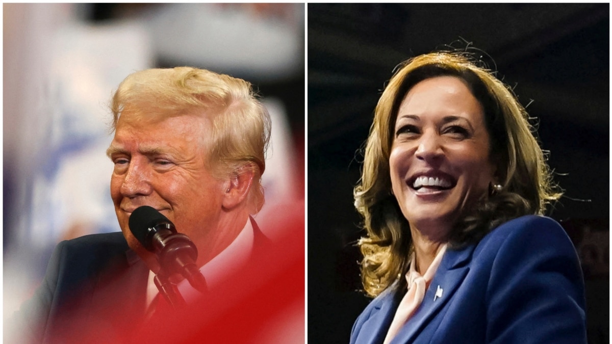 La republicana Liz Cheney respalda a Kamala Harris