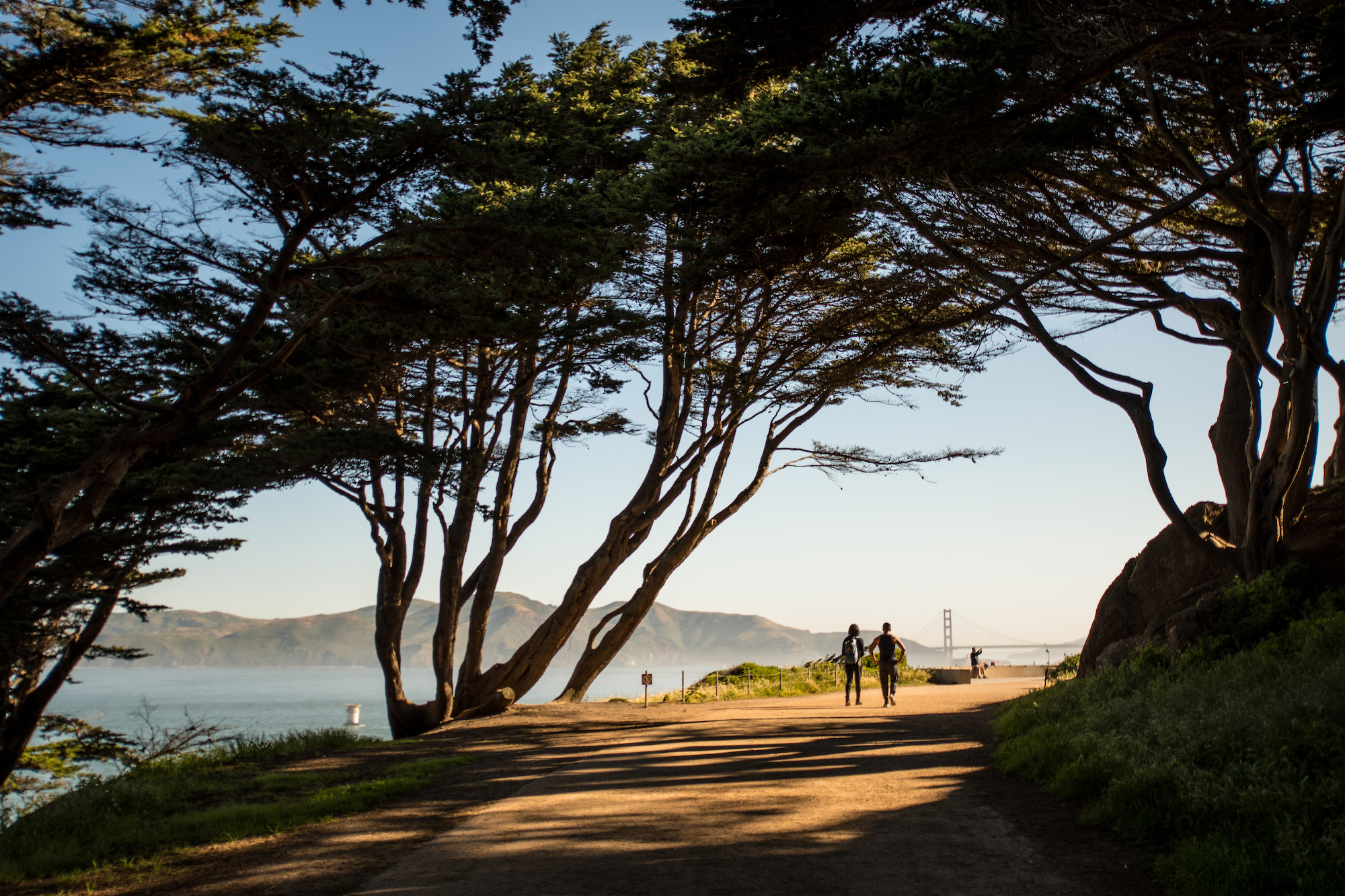 7-ways-to-get-out-and-explore-san-francisco-on-california-biodiversity-day