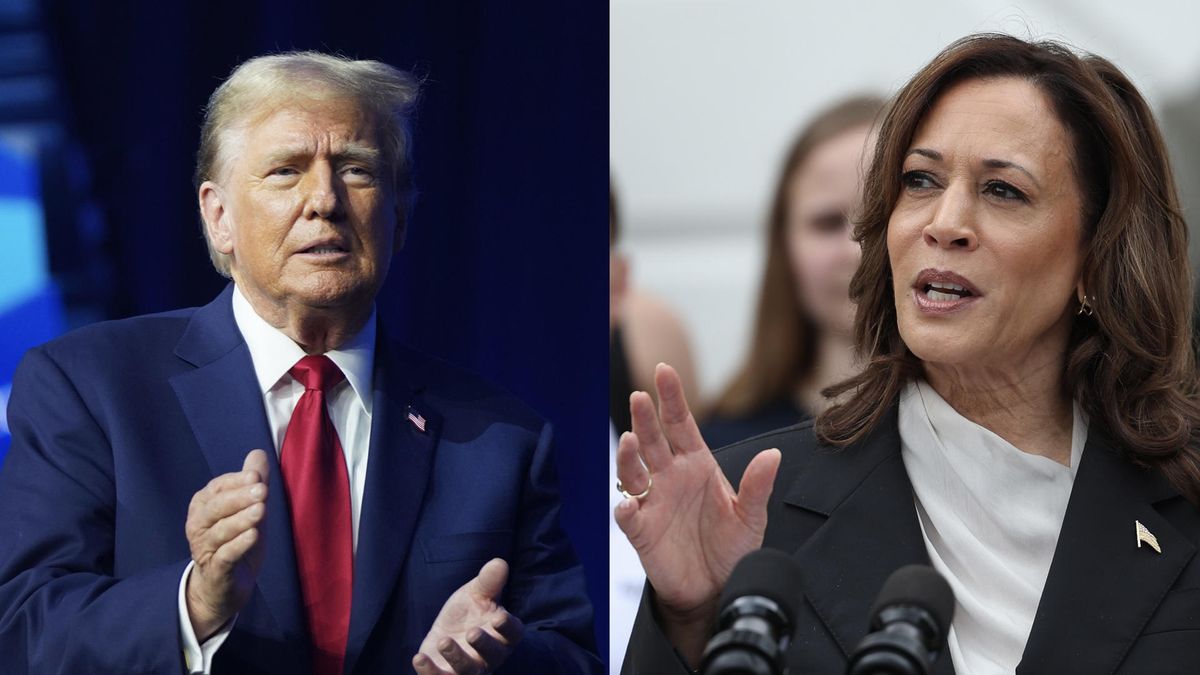 inmigracion,-aborto,-economia-y-politica-exterior:-las-propuestas-que-separan-a-kamala-harris-de-donald-trump