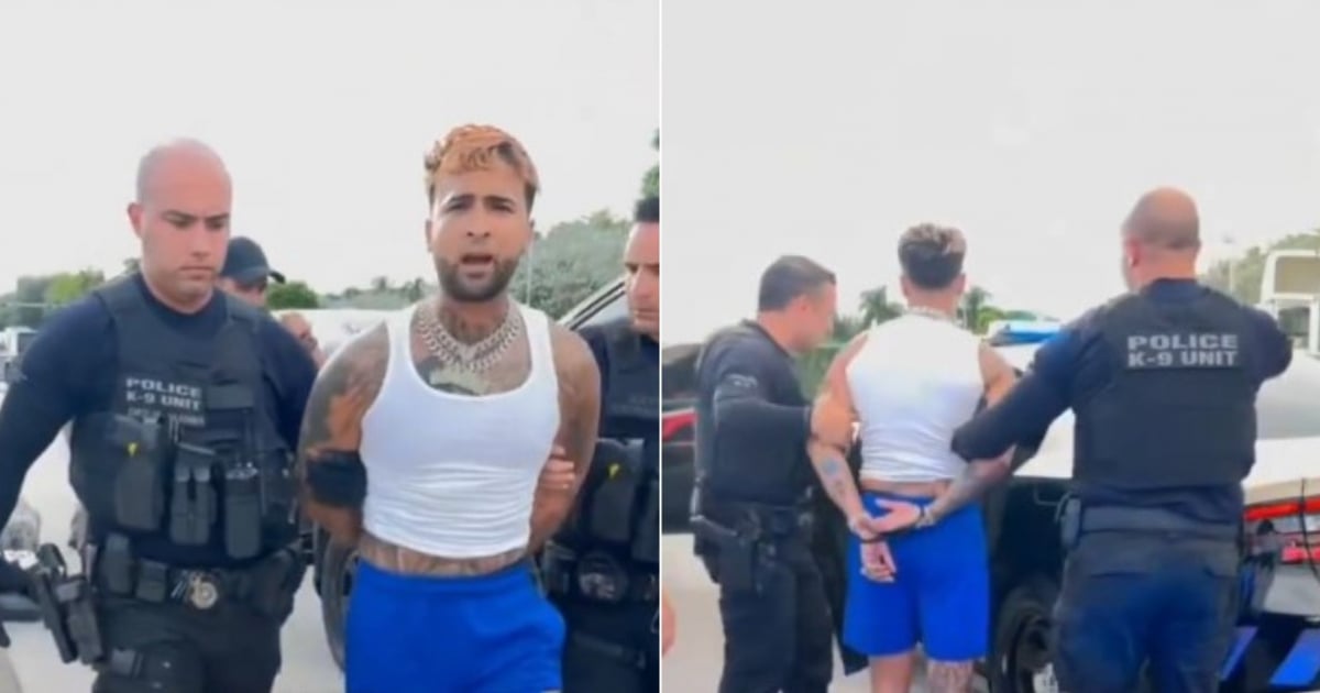 Sale a la luz video de la detención de Ovi en Miami