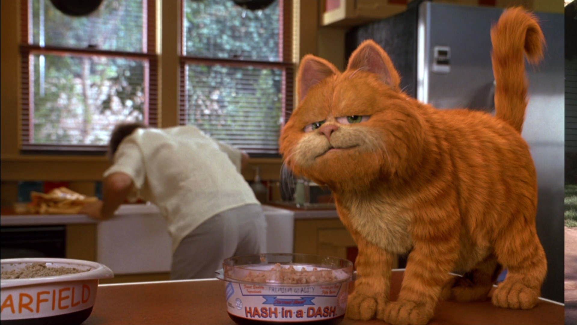 este-dia-se-celebra-a-garfield-y-otras-curiosidades-del-gato-mas-iconico