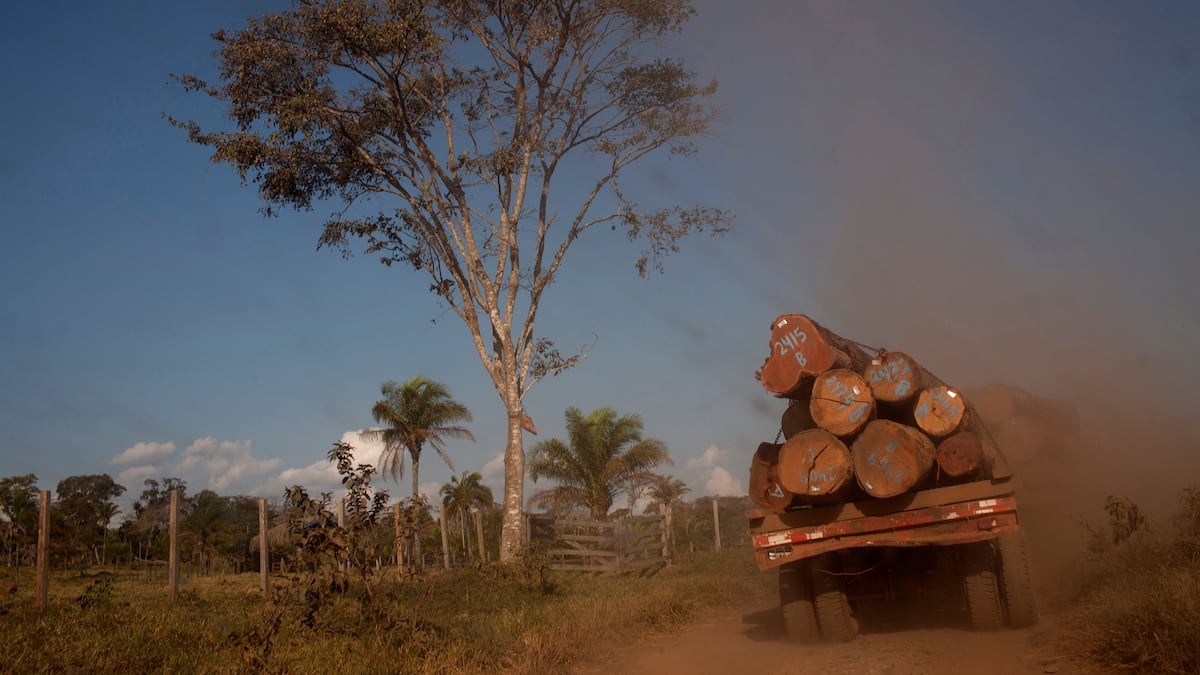 los-ahorros-de-los-bolivianos-podrian-estar-financiando-la-deforestacion