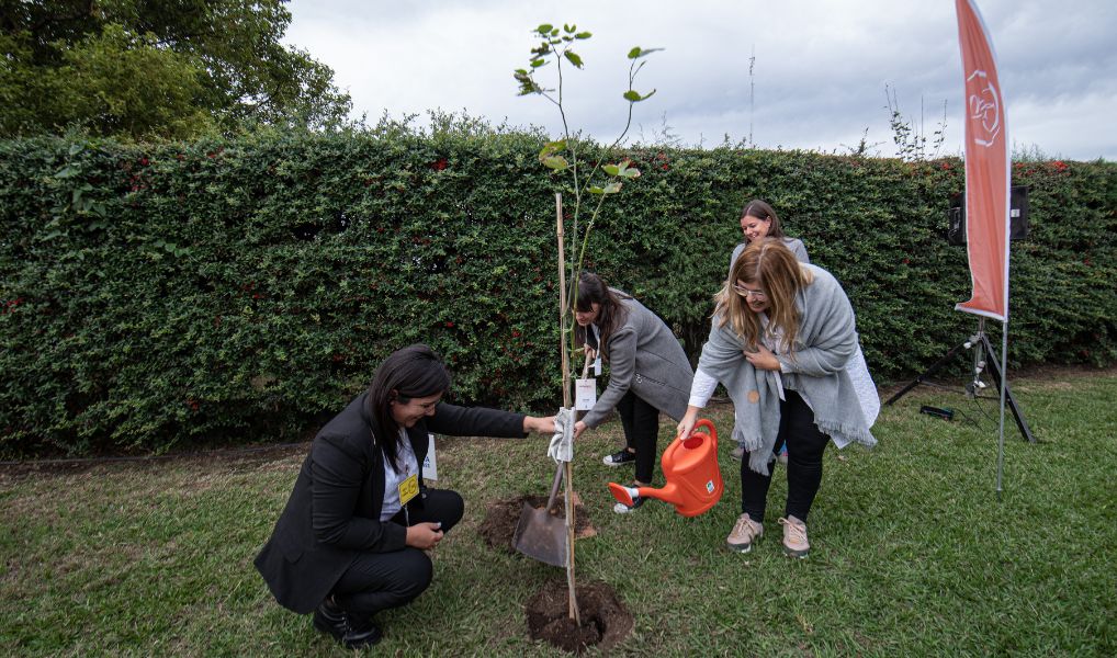 Día de la Conciencia Ambiental: acciones que cuidan del planeta – Revista Economía