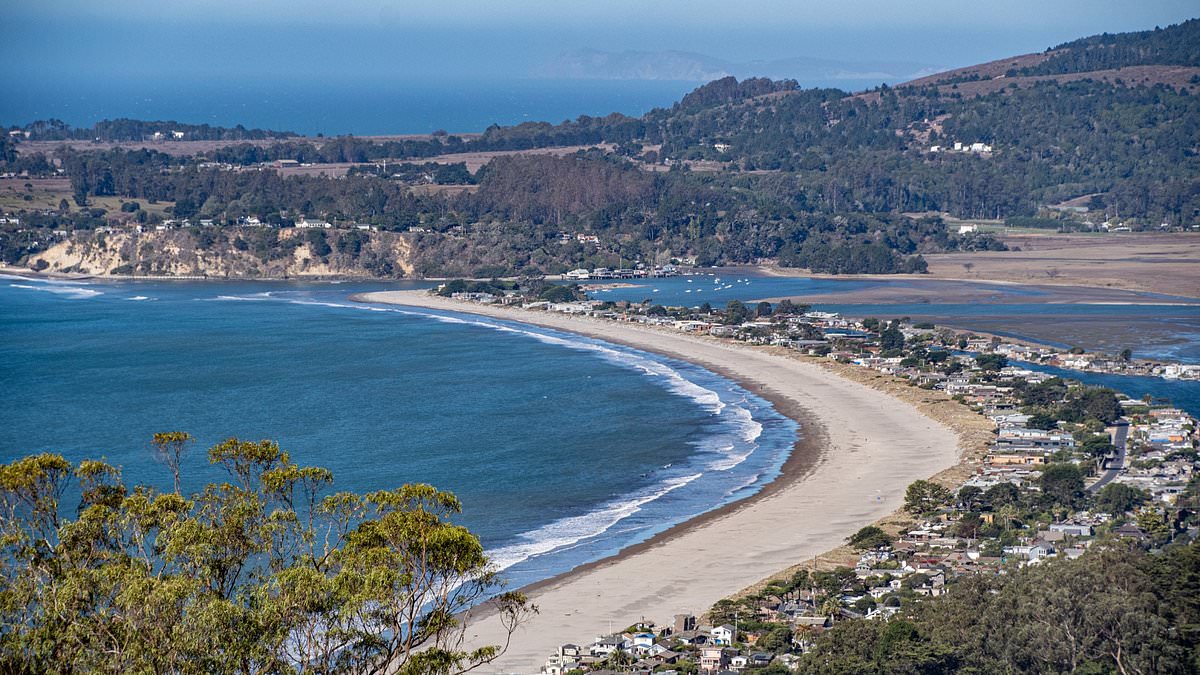 la-popular-playa-del-area-de-la-bahia-podria-estar-cerrada-durante-tres-anos-despues-de-un-descubrimiento-repugnante:-“es-tan-asqueroso-como-parece”-–-surge-radio