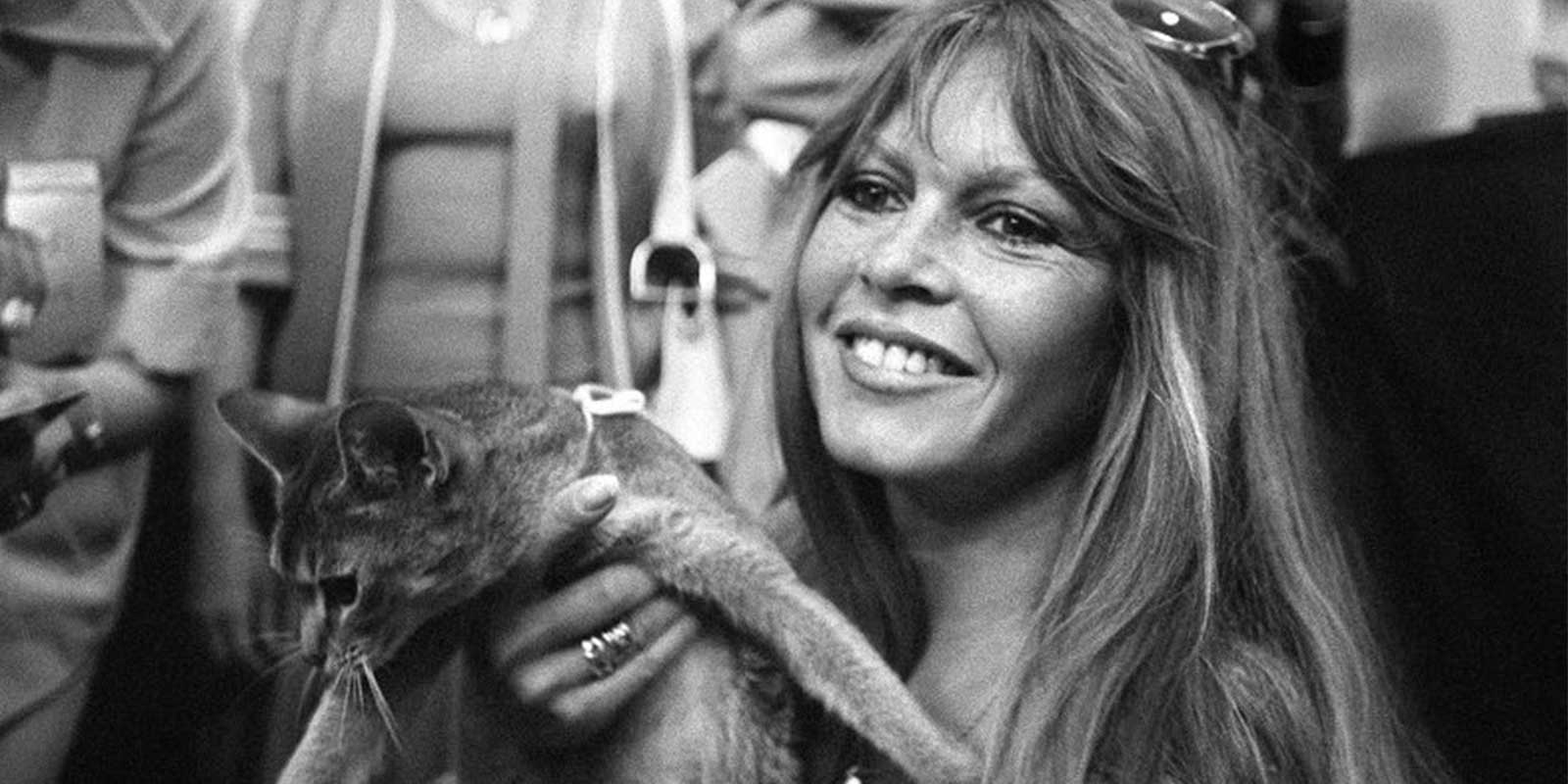 brigitte-bardot:-de-simbolo-del-cine-a-icono-del-activismo-animalista