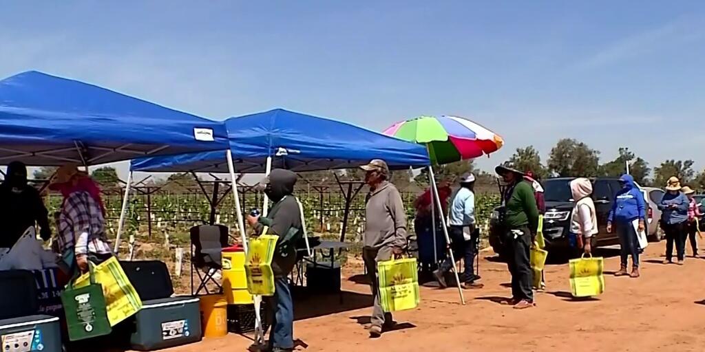 newsom-promulga-varias-leyes-en-beneficio-de-los-trabajadores-agricolas-inmigrantes