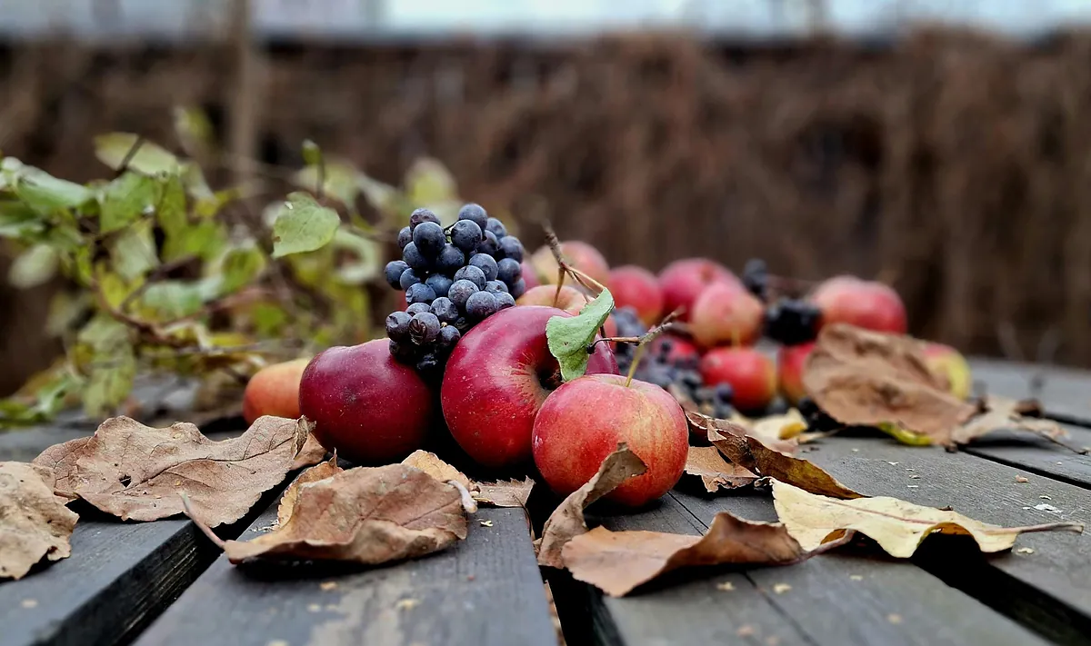 10-alimentos-de-temporada-que-deberas-incluir-en-tu-dieta-este-octubre