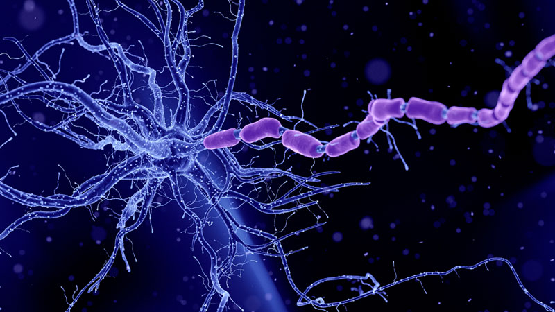 11-datos-curiosos-sobre-el-cerebro