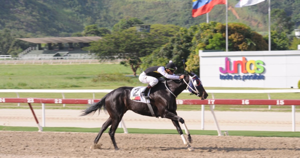 la-mejor-arma-de-yaqui-desings-es-la-velocidad-y-reaparece-en-carrera-pareja-despues-de-42-dias-sin-correr