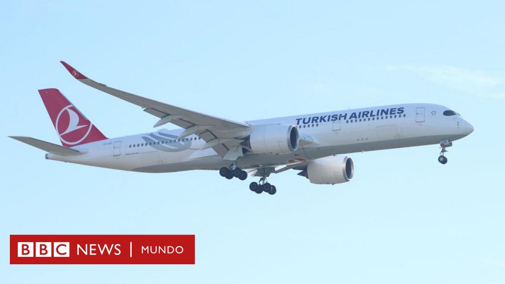 turkish-airlines:-muere-un-piloto-de-la-aerolinea-en-pleno-vuelo-y-obliga-a-un-aterrizaje-de-emergencia-en-nueva-york-–-bbc-news-mundo