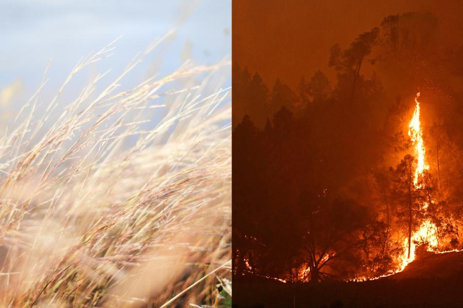 “vientos-del-diablo”-azotaran-california-este-jueves-por-la-noche