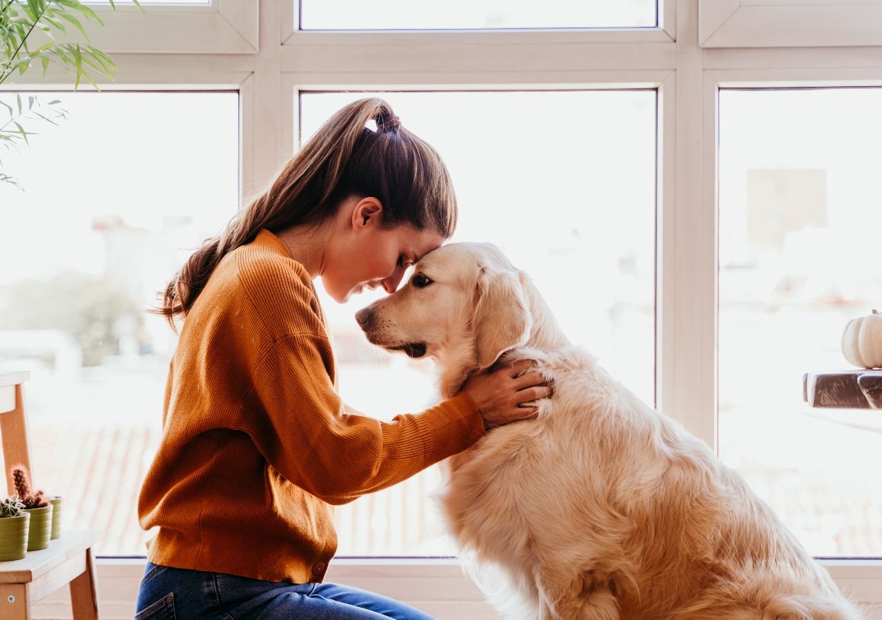 ¿Tener un perro es bueno para la salud? Sí, y la ciencia explica por qué