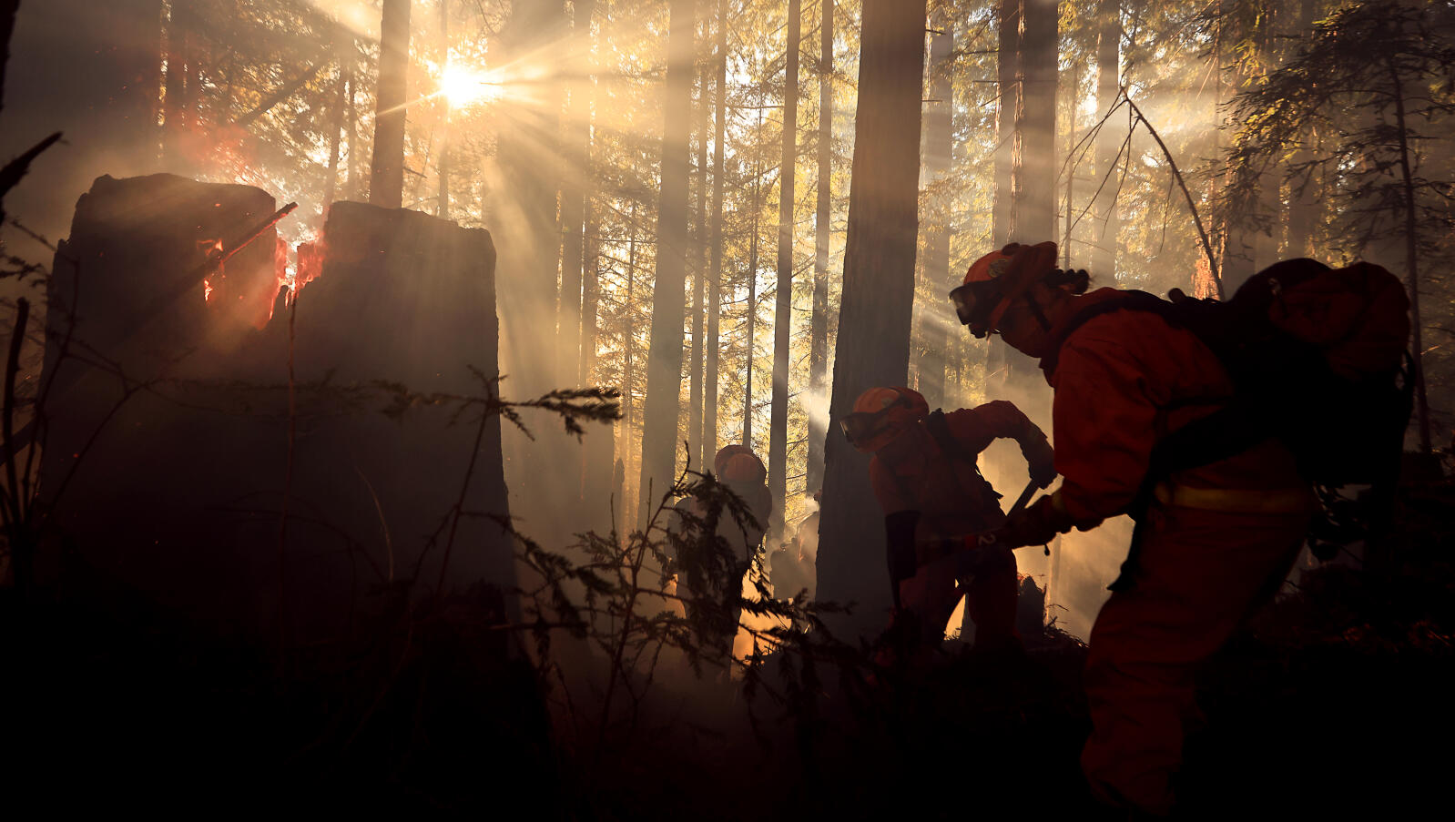 emiten-alerta-roja-de-alto-riesgo-de-incendios-en-north-bay-por-fuertes-vientos