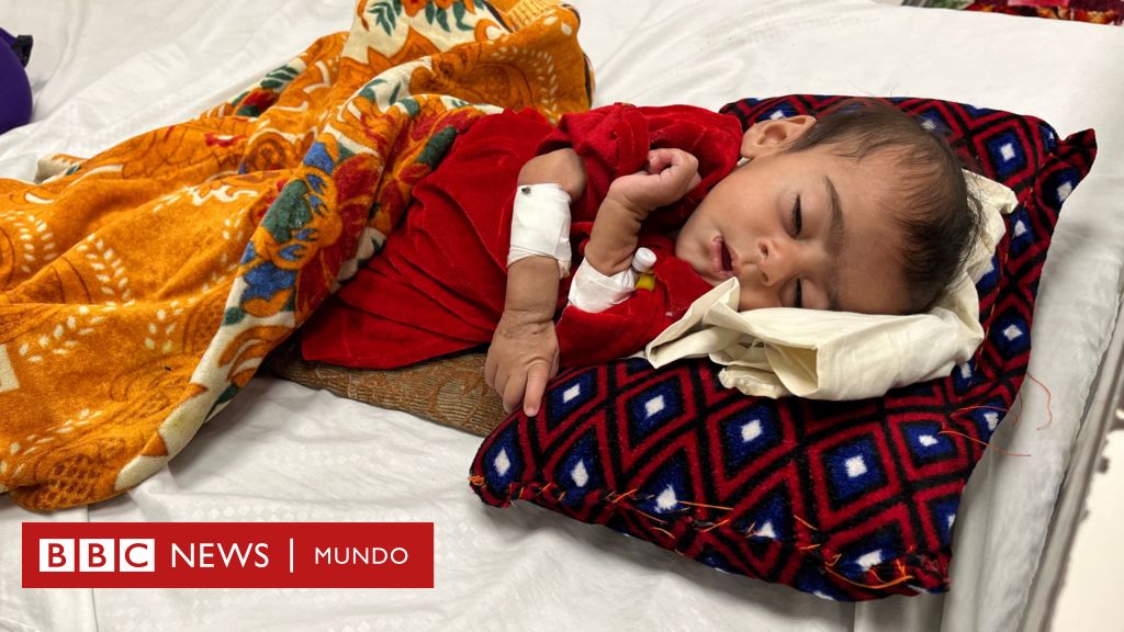 afganistan-|-“¿te-imaginas-lo-que-he-sentido-viendo-a-mis-6-hijos-morir?”:-el-pais-devastado-por-la-desnutricion-infantil-–-bbc-news-mundo