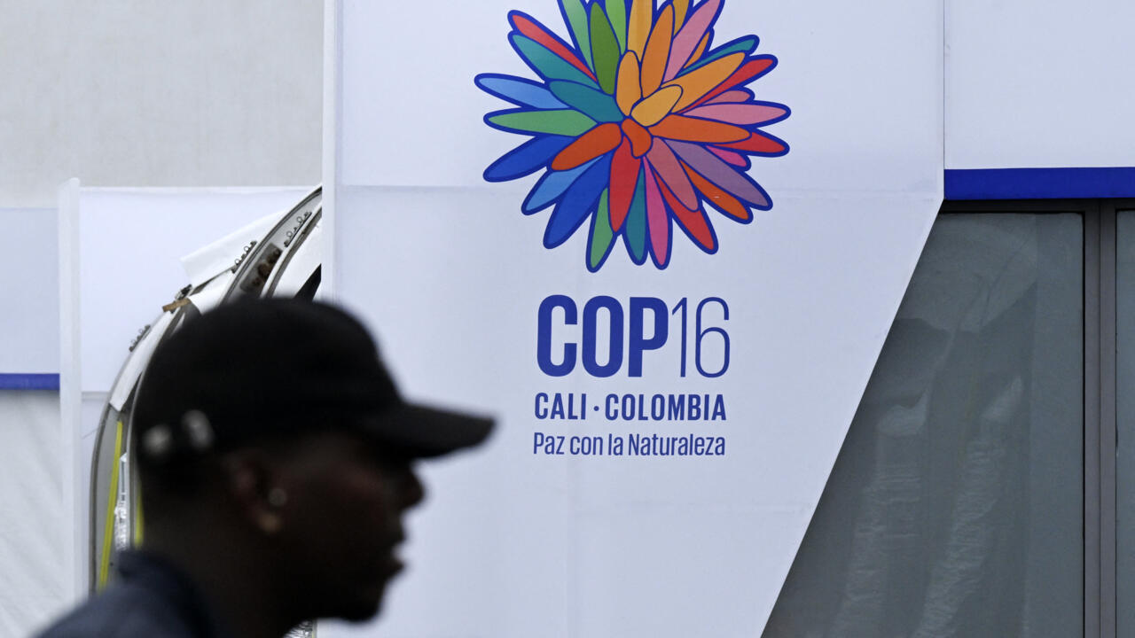 La COP16 llega a Colombia: claves y críticas de la Cumbre de la Biodiversidad