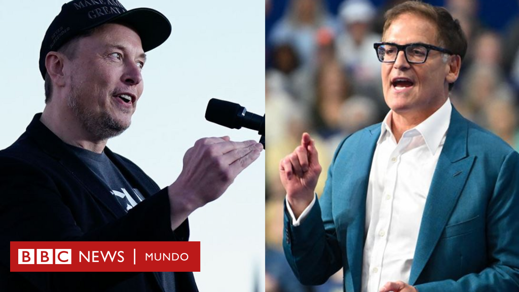 elecciones-en-estados-unidos-|-la-batalla-de-los-multimillonarios:-mark-cuban,-el-empresario-que-apoya-a-kamala-harris-y-se-opone-a-elon-musk-–-bbc-news-mundo