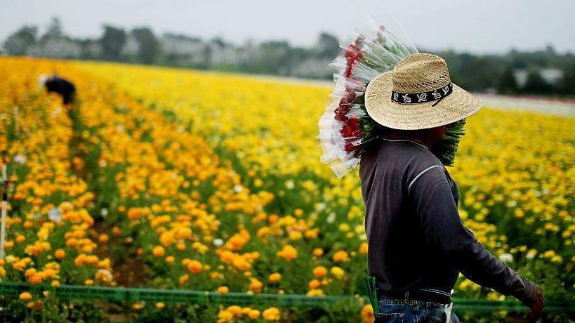 como-seria-estados-unidos-sin-inmigrantes