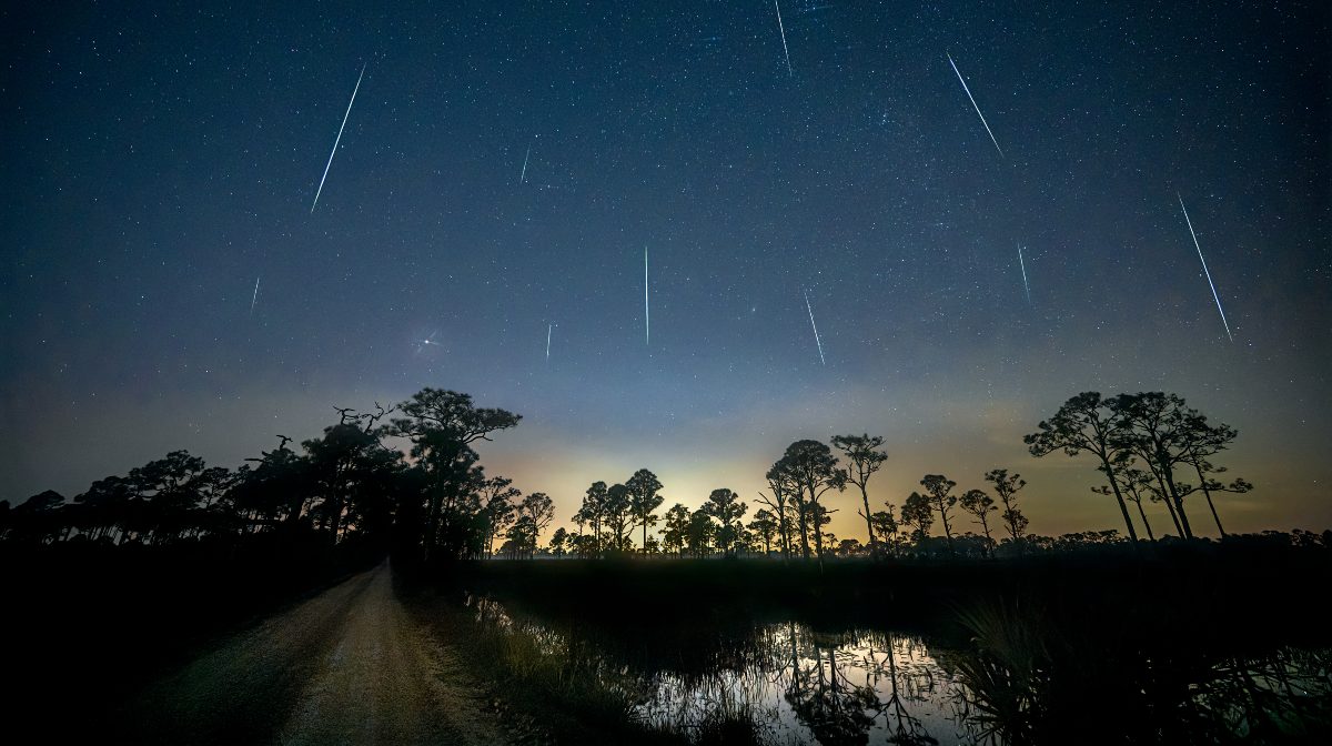 lluvia-de-estrellas-tauridas-2024:-como,-cuando-y-donde-ver-el-espectaculo-astronomico-–-national-geographic-en-espanol