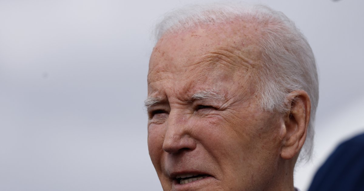 Biden elogia a Harris después de la derrota electoral: “Su historia representa lo mejor de Estados Unidos”