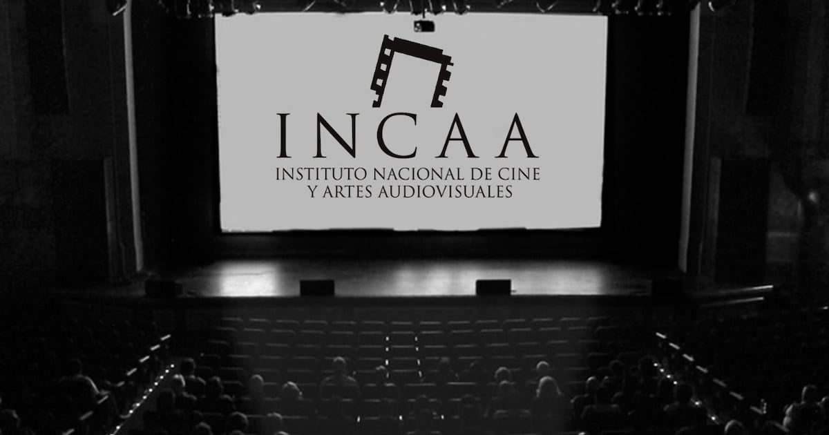 estos-son-los-nuevos-parametros-del-incaa-para-hacer-cine:-calidad,-audiencia-y-eficiencia-|-cine-y-series-|-la-voz-del-interior