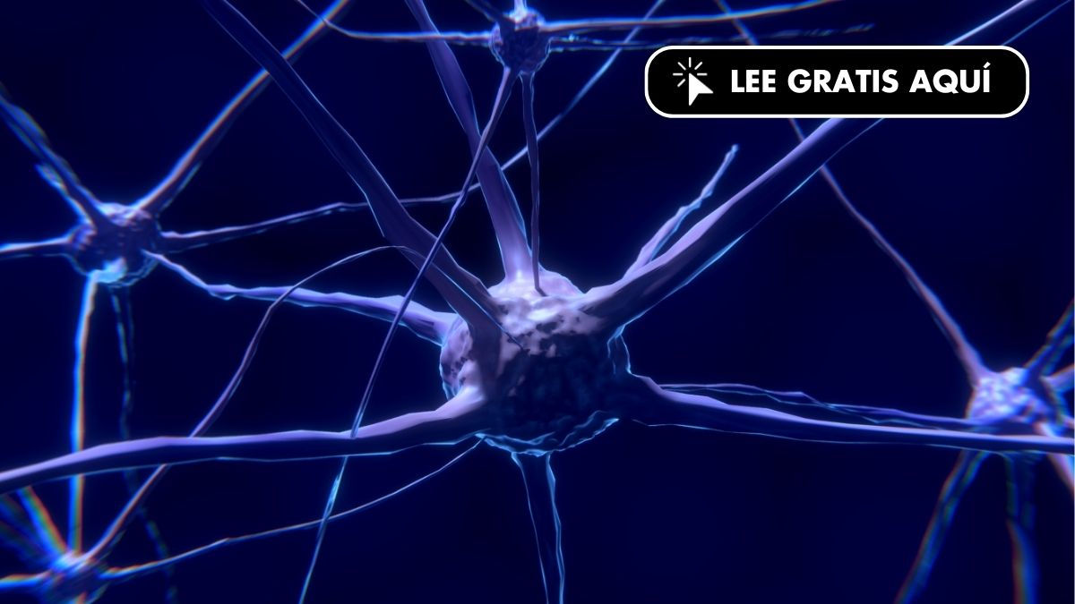 17 factores para saber si estoy en riesgo de sufrir un accidente cerebrovascular