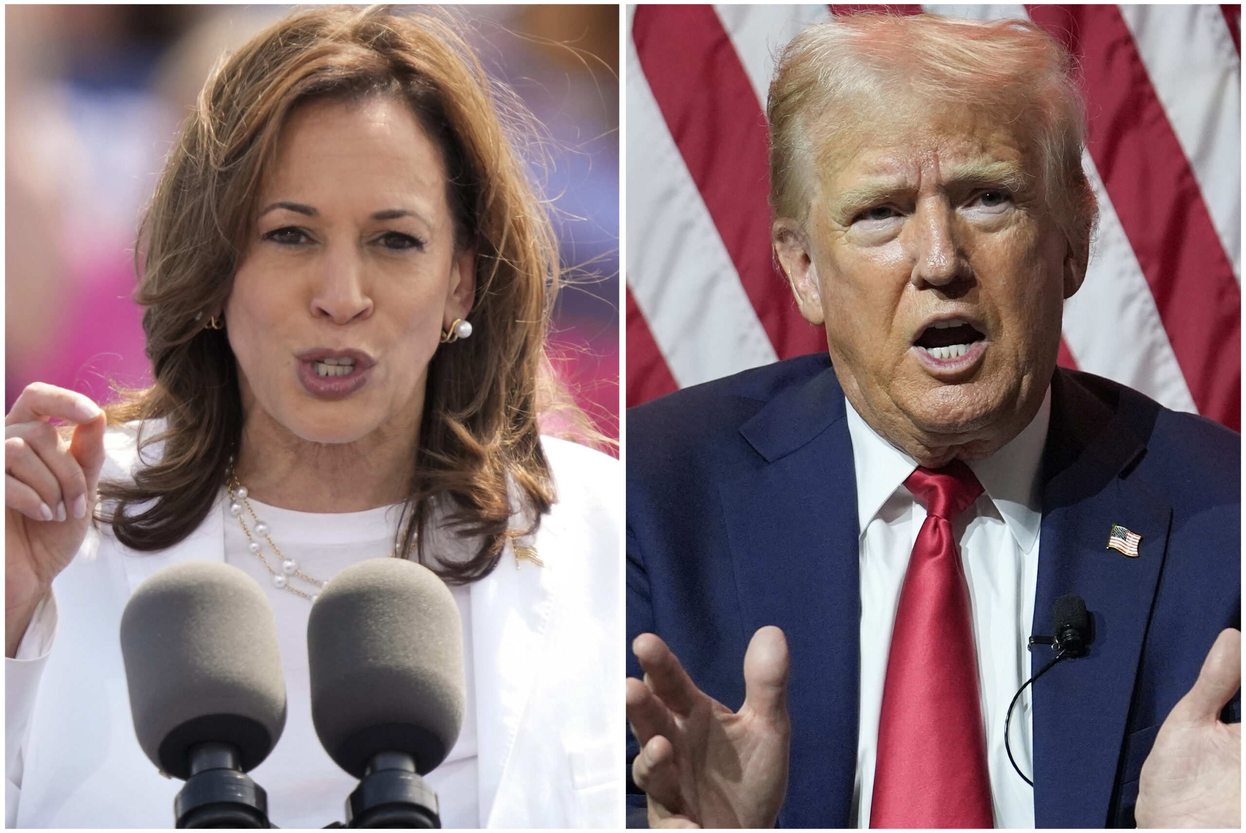 harris-vs.-trump,-contraste-entre-dos-personalidades-que-polarizan-a-estados-unidos-–-el-diario-ny