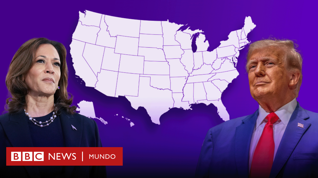 Trump vs Kamala Harris: el gráfico que muestra cómo fue el voto por género, edad, raza y nivel educativo que le dio el triunfo de Trump en las elecciones de EE.UU. – BBC News Mundo