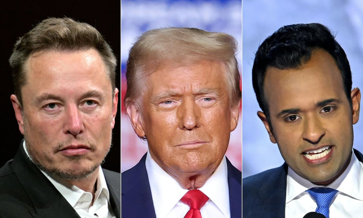 “departamento-de-eficiencia-gubernamental”:-que-hara-elon-musk-en-el-gobierno-de-donald-trump-(y-un-guino-a-milei)