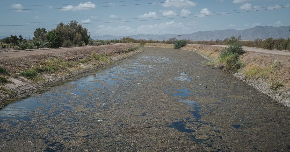 Campesinos de Mexicali aceptan parar producción para cuidar el agua de los Estados Unidos