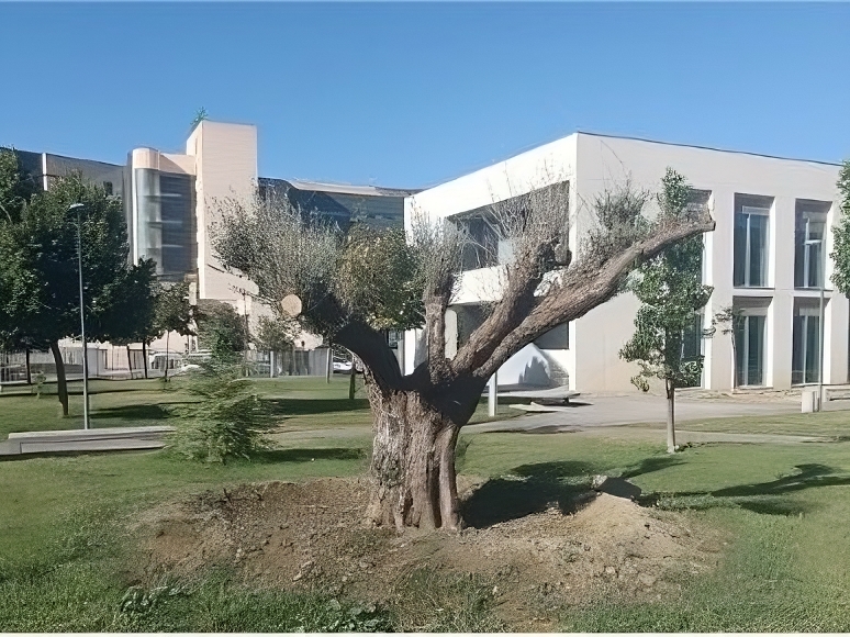 Aprobado el Plan de Sostenibilidad Ambiental para la Adaptación y Mitigación al Cambio Climático de la Universidad de Granada (2024-2029) – Canal UGR