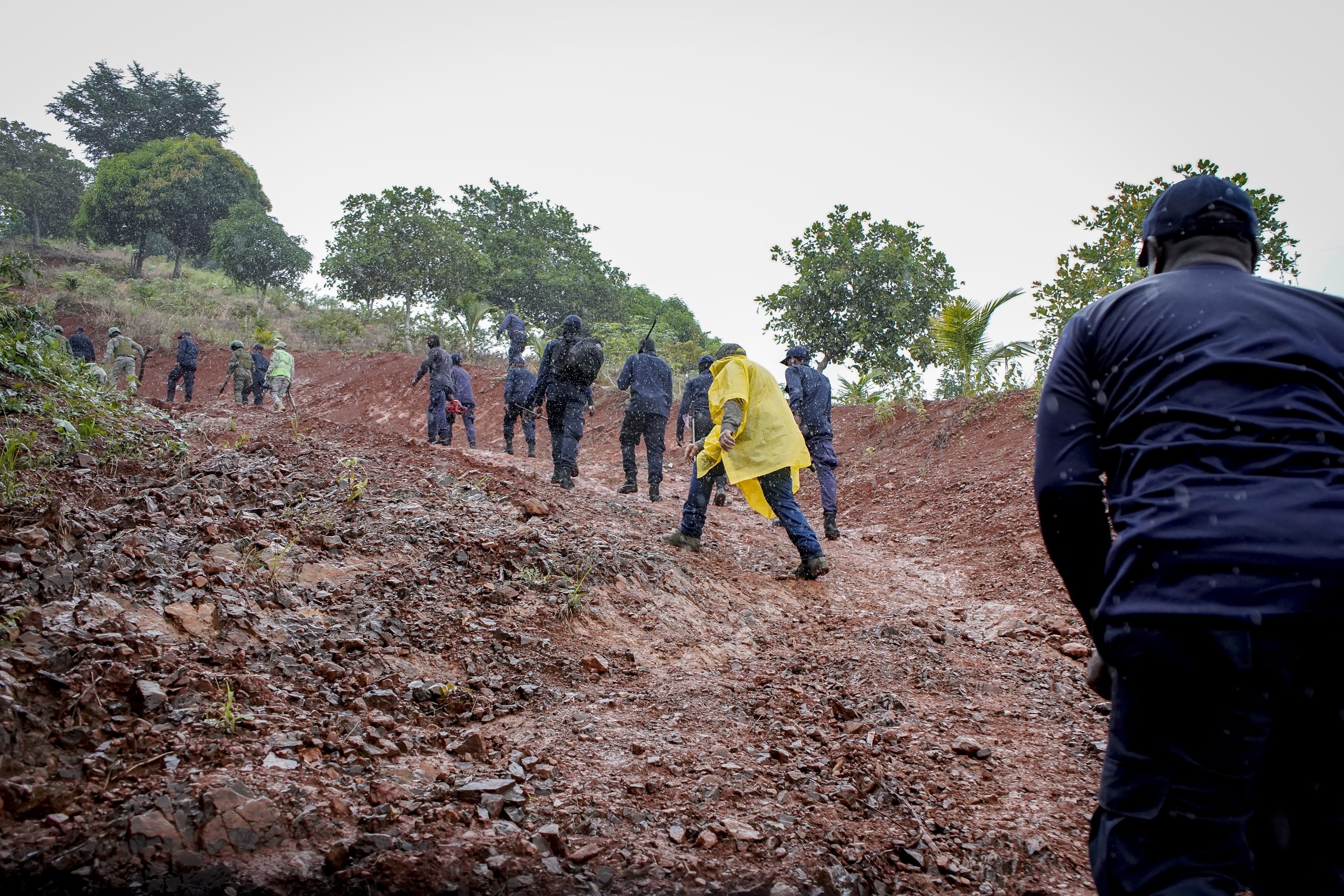 Medio Ambiente interviene proyecto agrícola ilegal en la loma Siete Picos; detiene al administrador y otras tres personas