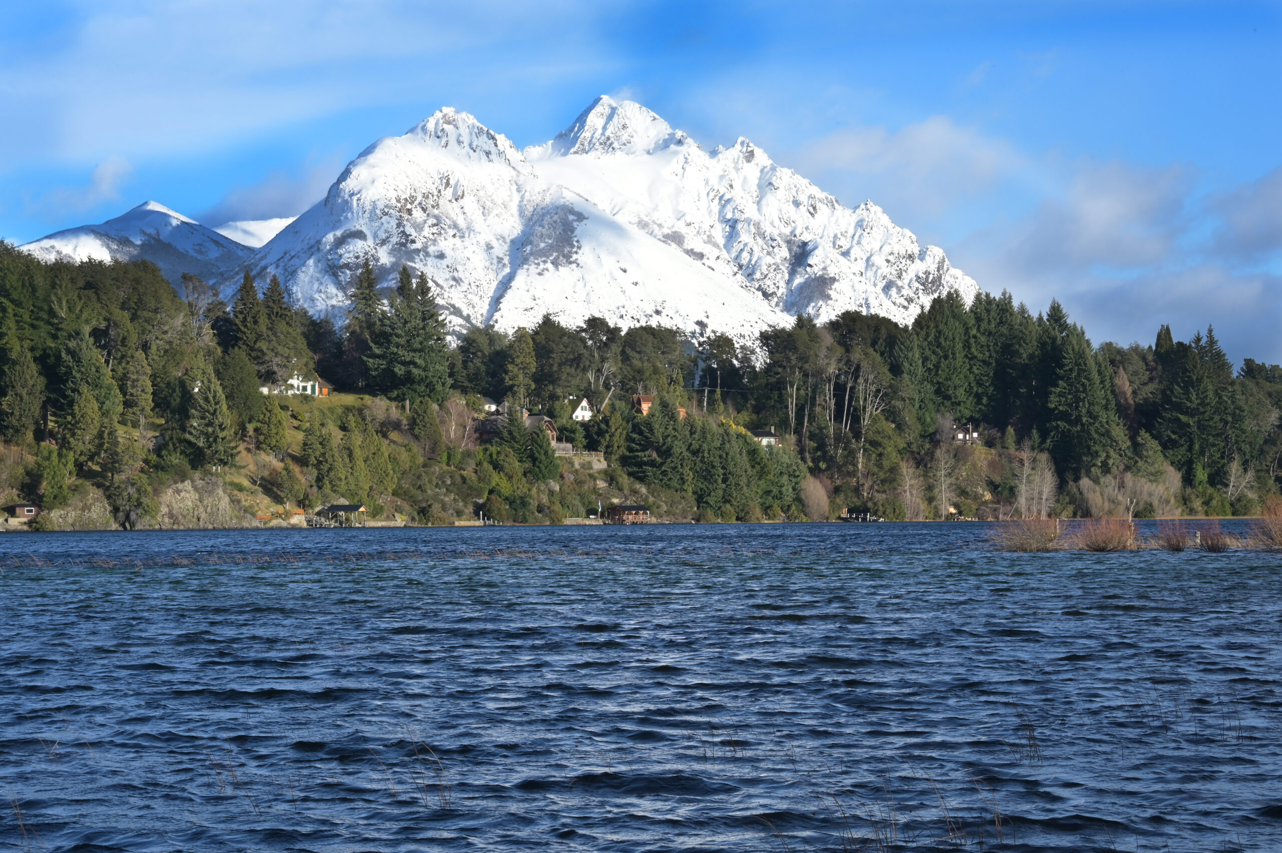 Medio ambiente: en qué consisten las reservas naturales urbanas que se implementan en Bariloche