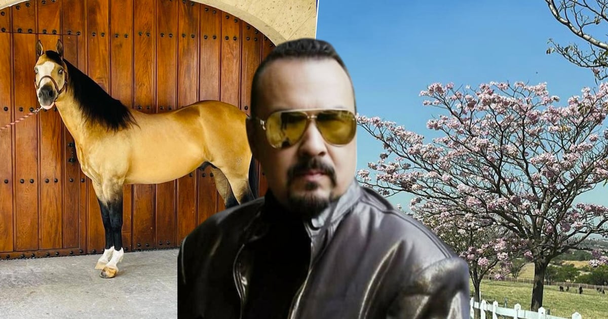 Pepe Aguilar hace ‘negocios’ con el rancho ‘Los 3 Potrillos’ de Vicente Fernández: ¿Qué pasó?