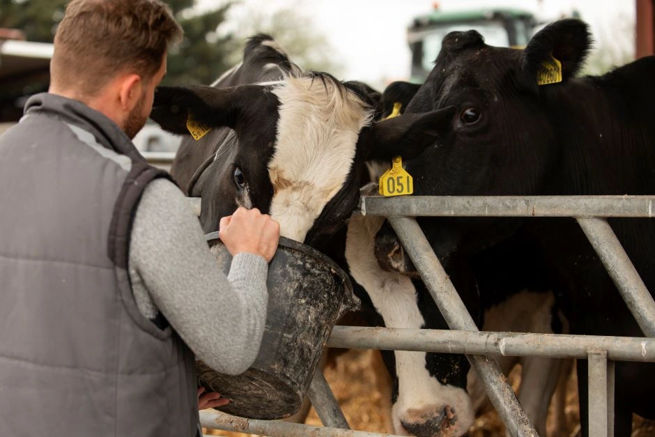 implementacion-de-practicas-de-bienestar-animal:-beneficios-para-la-calidad-del-producto-y-la-percepcion-del-consumidor-–-the-food-tech-–-medio-de-noticias-lider-en-la-industria-de-alimentos-y-bebidas